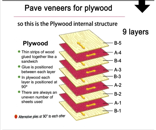 Оборудование для производства фанеры Оборудование для производства фанеры
