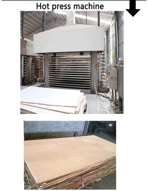 Оборудование для производства фанеры Оборудование для производства фанеры