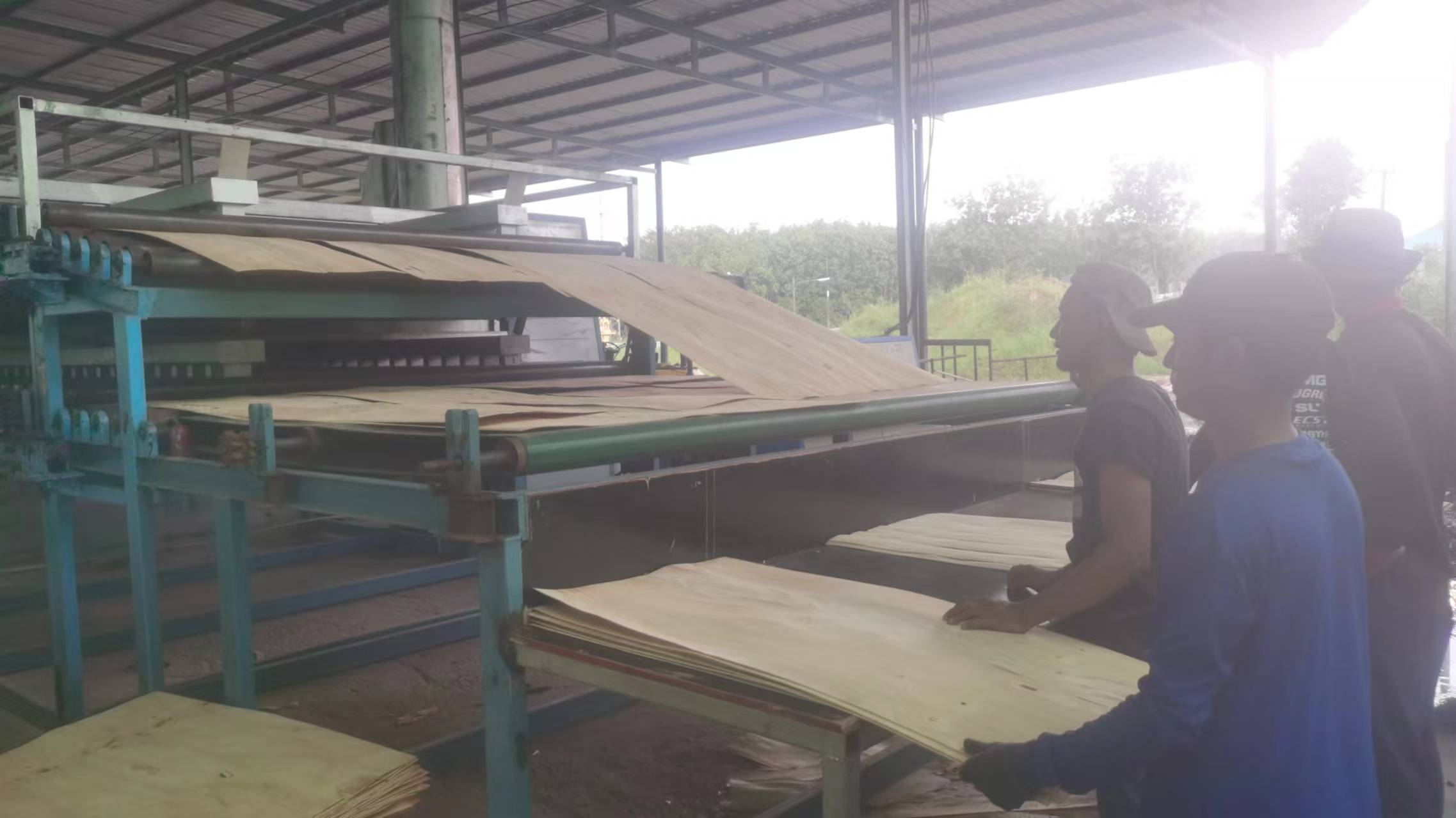 Сушилка роликовая SHINE предназначена для сушки шпона