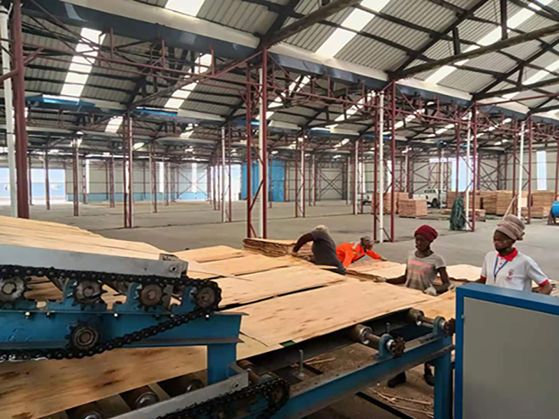 Линии для изготовления шпона